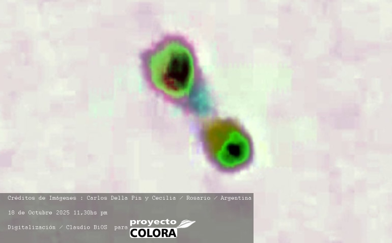 Imagen 3